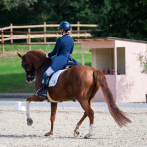 CDI Troisdorf 2023 - autumn