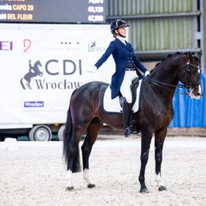 CDI Wroclaw 2023 - autumn