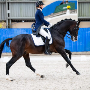 CDI Wroclaw 2023 - autumn