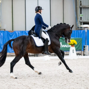 CDI Wroclaw 2023 - autumn