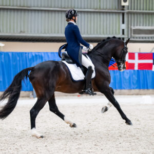 CDI Wroclaw 2023 - autumn