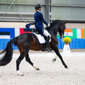 CDI Wroclaw 2023 - autumn
