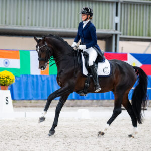 CDI Wroclaw 2023 - autumn
