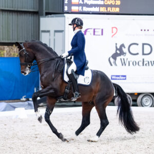 CDI Wroclaw 2023 - autumn