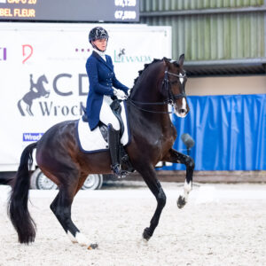 CDI Wroclaw 2023 - autumn