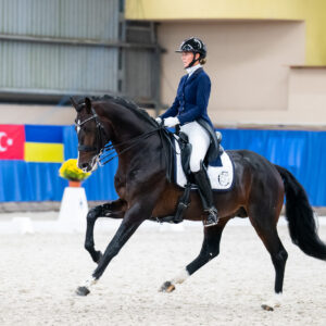CDI Wroclaw 2023 - autumn