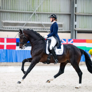 CDI Wroclaw 2023 - autumn