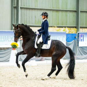 CDI Wroclaw 2023 - autumn