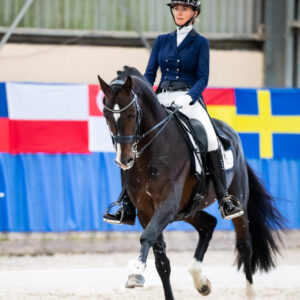 CDI Wroclaw 2023 - autumn