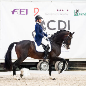 CDI Wroclaw 2023 - autumn