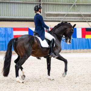 CDI Wroclaw 2023 - autumn