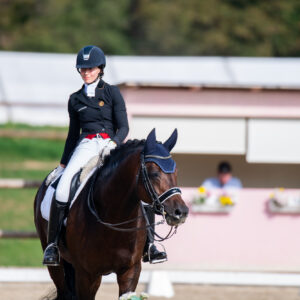 CDI Troisdorf 2023 - autumn
