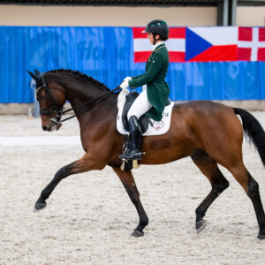 CDI Wroclaw 2023 - autumn