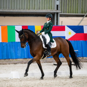 CDI Wroclaw 2023 - autumn