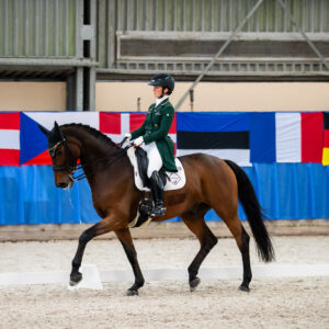 CDI Wroclaw 2023 - autumn