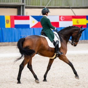 CDI Wroclaw 2023 - autumn
