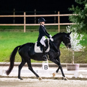 CDI Troisdorf 2023 - autumn