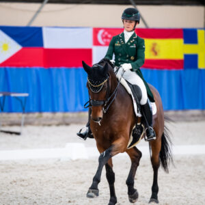 CDI Wroclaw 2023 - autumn