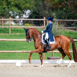 CDI Troisdorf 2023 - autumn