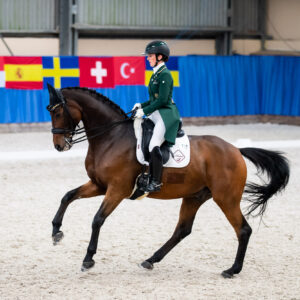 CDI Wroclaw 2023 - autumn