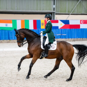 CDI Wroclaw 2023 - autumn