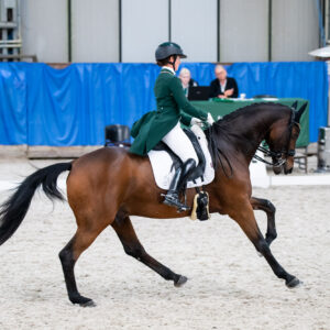 CDI Wroclaw 2023 - autumn