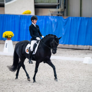 CDI Wroclaw 2023 - autumn