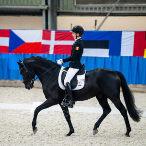 CDI Wroclaw 2023 - autumn
