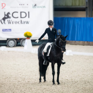 CDI Wroclaw 2023 - autumn