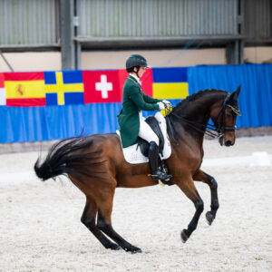 CDI Wroclaw 2023 - autumn