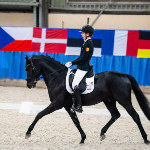 CDI Wroclaw 2023 - autumn