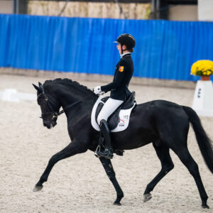 CDI Wroclaw 2023 - autumn