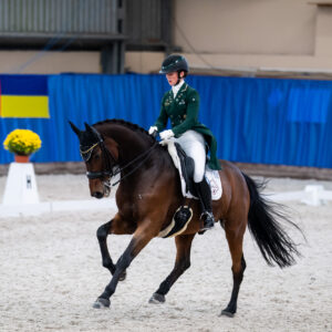 CDI Wroclaw 2023 - autumn