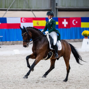 CDI Wroclaw 2023 - autumn