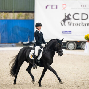 CDI Wroclaw 2023 - autumn