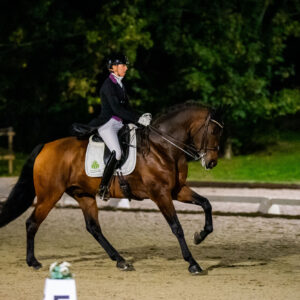 CDI Troisdorf 2023 - autumn