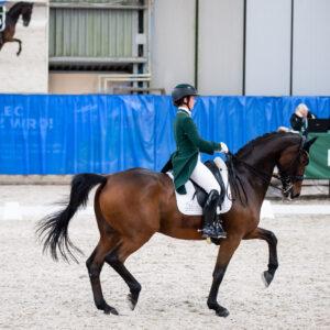 CDI Wroclaw 2023 - autumn