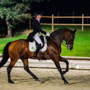 CDI Troisdorf 2023 - autumn