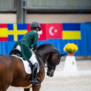 CDI Wroclaw 2023 - autumn