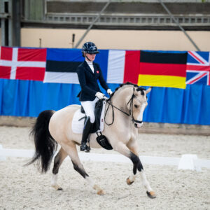 CDI Wroclaw 2023 - autumn