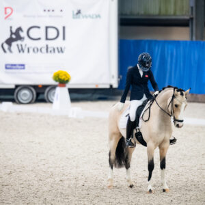 CDI Wroclaw 2023 - autumn