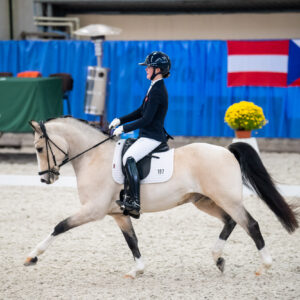 CDI Wroclaw 2023 - autumn