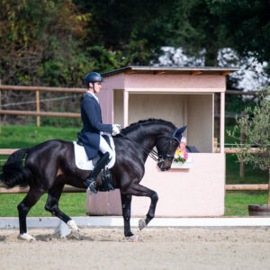 CDI Troisdorf 2023 - autumn