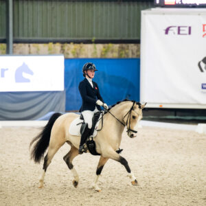 CDI Wroclaw 2023 - autumn