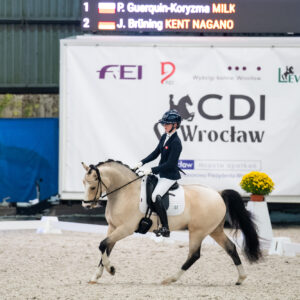 CDI Wroclaw 2023 - autumn