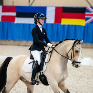 CDI Wroclaw 2023 - autumn