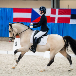 CDI Wroclaw 2023 - autumn