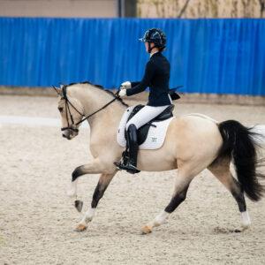 CDI Wroclaw 2023 - autumn