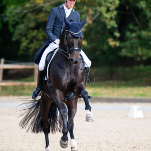 CDI Troisdorf 2023 - autumn
