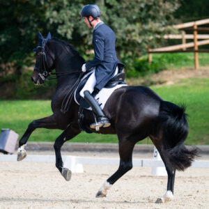 CDI Troisdorf 2023 - autumn